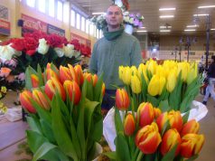 Tavaszi színek, nőnap előtti virágvásár a piacon