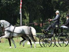 HÖLLE Martin az élen