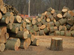 Folyamatos fejlődés, maximális elégedettség a Postafa Kft-nél