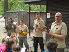 A Kecskeméti Vadaskert bemutatkozik a 2017. évi Utazás Kiállításon