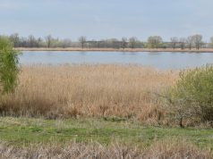 Ökoturisztikai célpont lehet a Péteri-tó