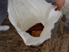 Lezárt akta: Füstölt húsokat loptak az idős nőtől
