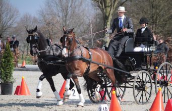 HÖLLE Martin (HUN) az idei második győzelmét aratta Horstban (NED)