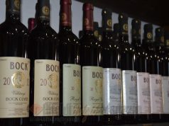 Bock József látogatott el a Koch Borházba