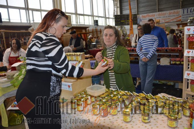 ARM Pillanatok- Gyulai Zitával