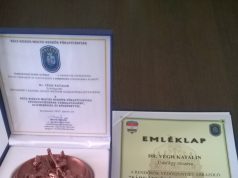 Szent György napi kitüntetés