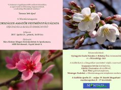 Montázs-est a Katona József Könyvtárban