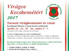 Virágos Kecskemétért 2017-ben is!