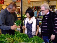 A Piaccsarnokban kezdődött a Japán Nap