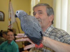 Tollas vendégek a Wojtyla Házban