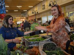 ARM Pillanatok a Bio- Szigetben