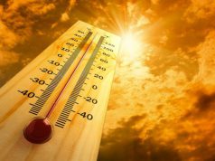 Tanácsok kánikulában