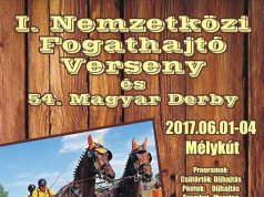 54. Magyar Hajtó Derby