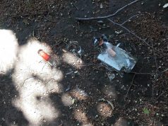 Rövidesen megújul a főtéri Romkert