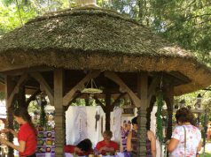 A Fenséges Fürjes Birodalom is kitelepült a kiskunmajsai Levendula Szüretre