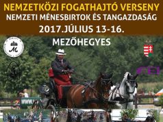 Hat ország 85 fogata vesz részt 2017. július 13. és 16. között a mezőhegyesi nemzetközi fogathajtó versenyen