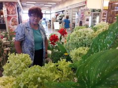 Bepillantás egy valódi Tündérkertbe