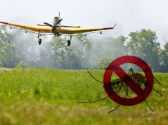 Bács-Kiskun megyében is folytatódik a szúnyogírtás