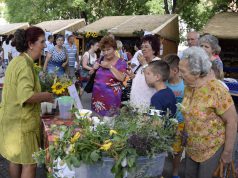 XX. Térségi Kertészeti és Élelmiszeripari Kiállítás és Vásár