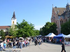 A Momentum is képviselteti magát a Hírös Hét keretein belül