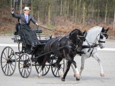 Magyar hajtó sikerrel indult a 25. nemzetközi fogathajtó verseny Beekbergenben