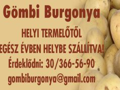 Gömbi Burgonya