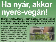Ha nyár, akkor nyers-vegán!