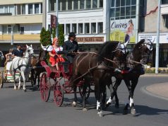 Kiemelt programok a Hírös Héten