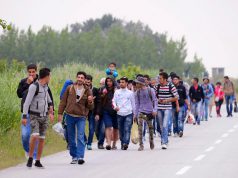 ILLEGÁLIS MIGRÁNSOK BÁCS-KISKUN MEGYÉNÉL