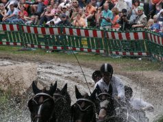 Sikerek Beekbergenből
