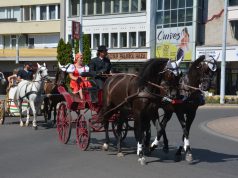 Augusztus 26-a a Térségi Összetartozás Napja- Fogatos felvonulással, korhű piaccal