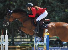 Hat év után ismét Kiskunhalason rendezik a díjugrató országos bajnokságot