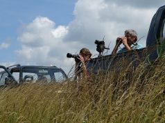 Elérkezett az idei Ifjú Kócsagőr Program országos döntője