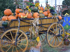 Megkezdődött a XIII. Szüreti Napok Ballószögön