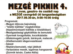 Mezgé Piknik