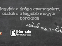 Borkóstoló Dabasi Gáborral és a 2017-es év Kecskemét Város borával