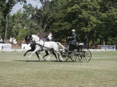 Magyaros kezdés a kettesfogathajtó világbajnokságon
