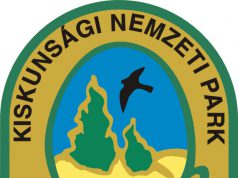 Új madárfaj költött a szegedi Fehér-tónál