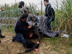 Illegális migránsok Bács-Kiskun megyénél