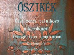 Novum Kamarazenekar