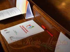 Kezdetét vette az I. Közép-Európai Civil Konferencia
