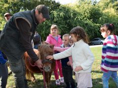 Óvodások ismerkedtek Assisi Szent Ferenc életével