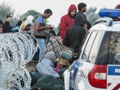 Nyolcvanhárom határsértőt tartóztattak föl a hétvégén