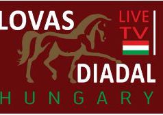 Magyar versenyző a FEI Lovastorna Világkupán