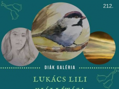 Lukács Lili kiállítása a Hírös Agóra Ifjúsági Otthonban