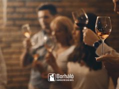 Lisicza kóstoló a Borhálóban