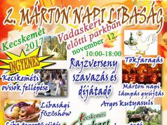 Márton napi Libaság