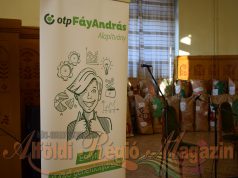 Fergeteges karácsonyi programok az OTP Bank szervezésében