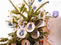 Nyertes TOP-os pályázatok a megyei karácsonyfa alatt