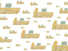 Magas színvonalú szolgáltatások a FILANTROP Kft.-nél